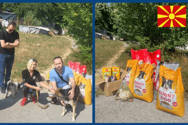 NMK Dog Shelter Donation